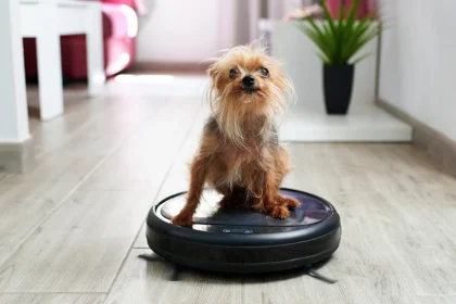 Best Robot Vacuum for pet hair